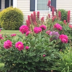 Meet your Posher, Tara